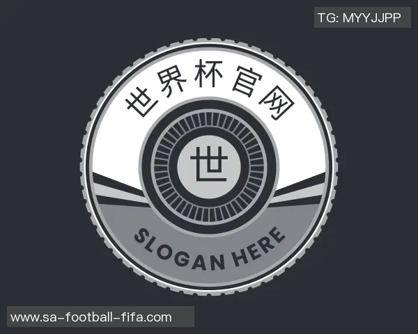 2012欧洲杯足球赛精彩回顾与经典瞬间分析，重温足球盛宴的激情与荣耀